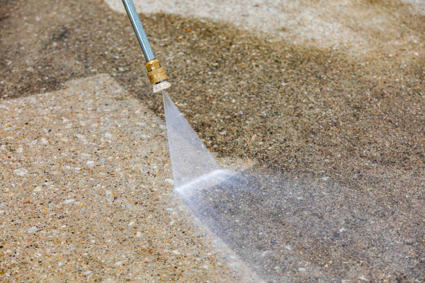 Professional  Pressure Washing Services in Palm Springs, FL